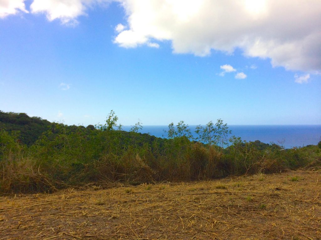 Looking for Land for Sale on St. Croix, U.S.V.I. Building a House in