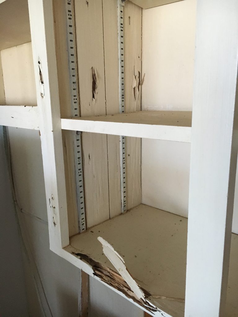 Cabinet Termite Damage